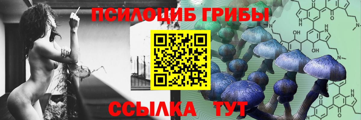 Сертолово  Псилоцибиновые грибы мухоморы  где можно купить   Вход с VPN 